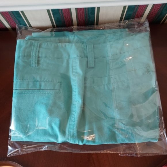 Chadwicks of Bosten Mineral Linen Wide Leg Dress Pants Size 4 NWT - Picture 2 of 4